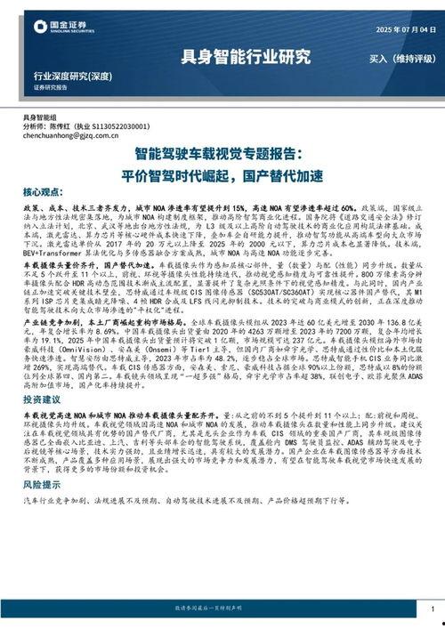 国产19页,揭秘我国科技发展的新篇章